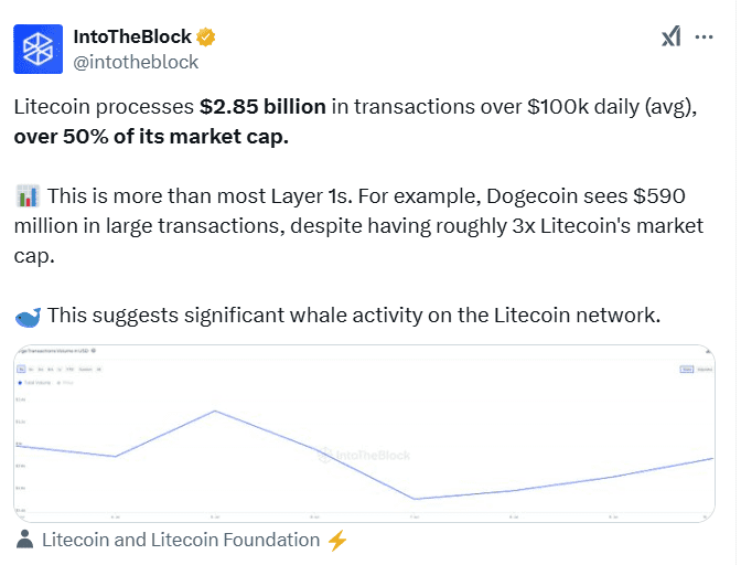 LTC Whale Activity Insights. Source: IntoTheBlock