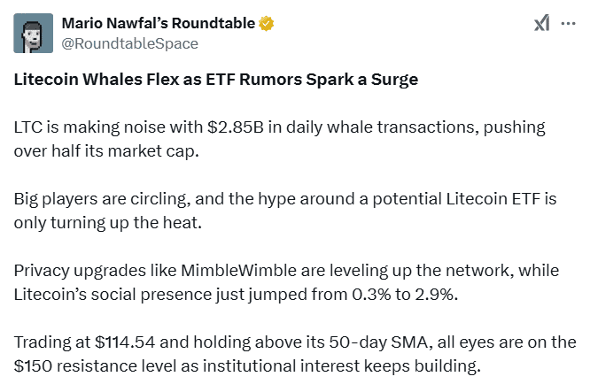 Litecoin Whale Activity and ETF Speculation. Source: Mario Nawfal’s Roundtable