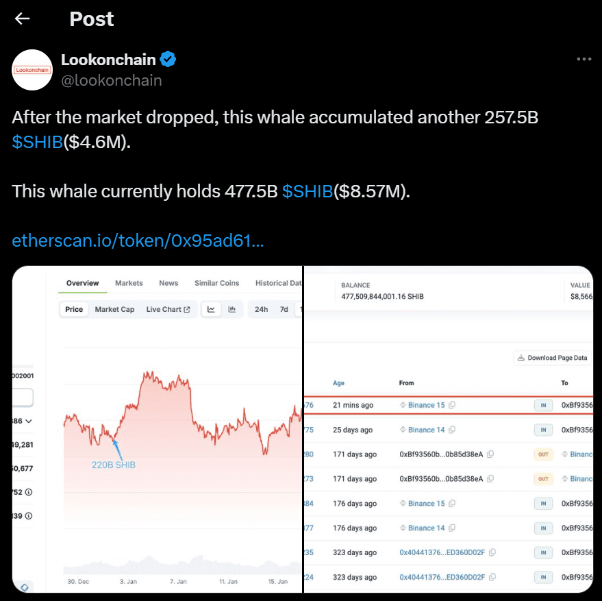 Whale accumulates 257.5B SHIB after market dip. Source: Lookonchain