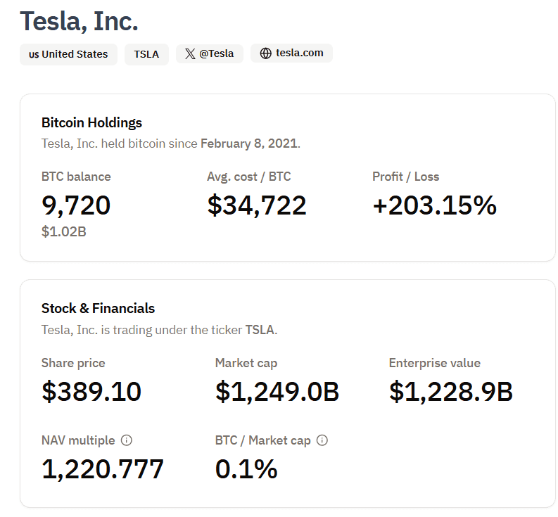 Tesla Bitcoin and Financial Overview. Source: Tesla
