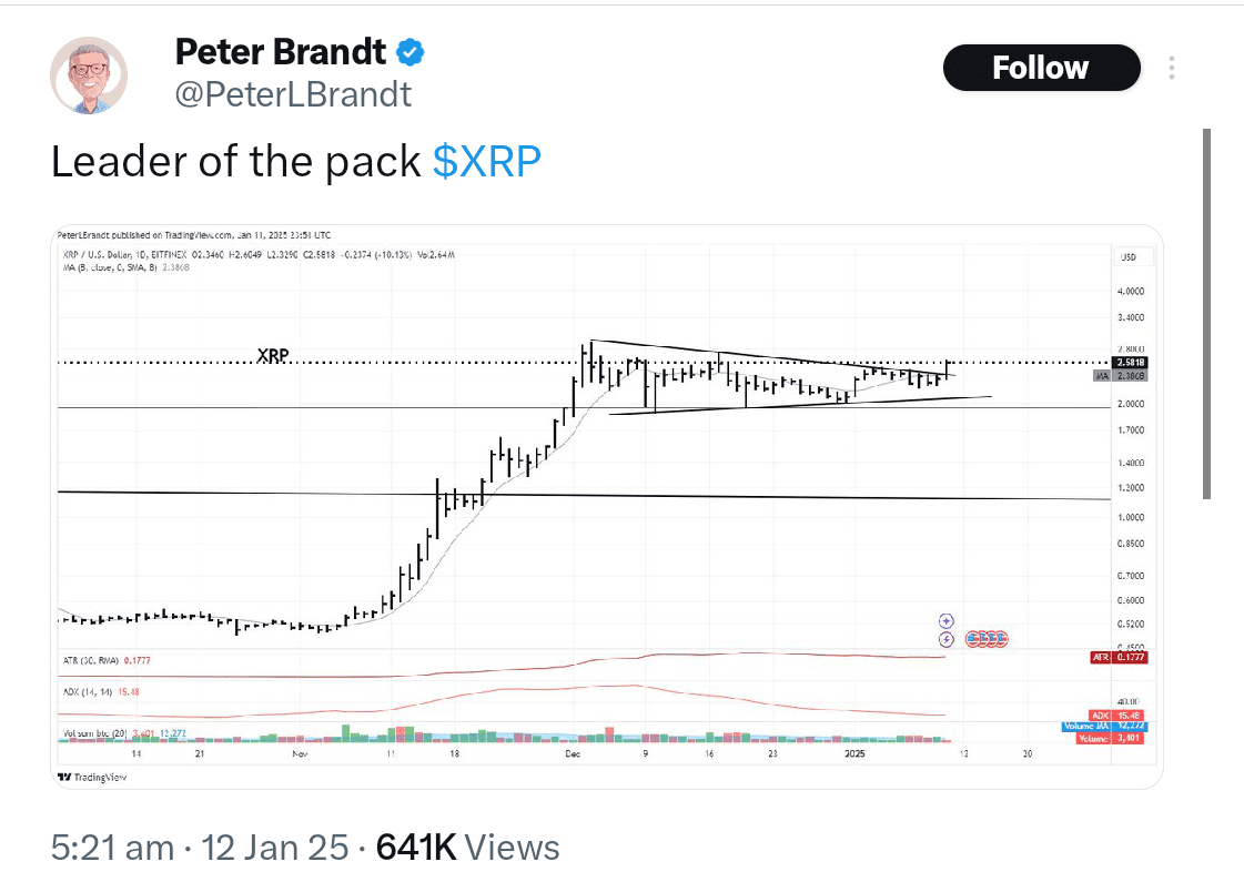 Peter Brandt calls XRP leader of the pack.