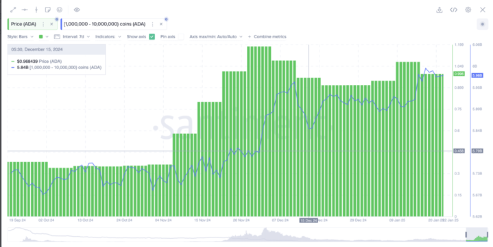 ADA whales accumulate 140M tokens recently. Source: Snatiment
