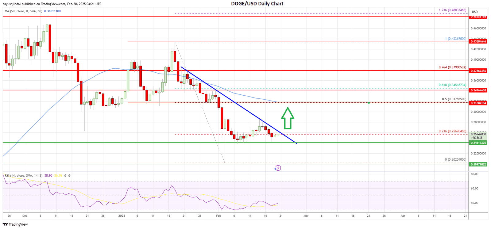 Dogecoin price today