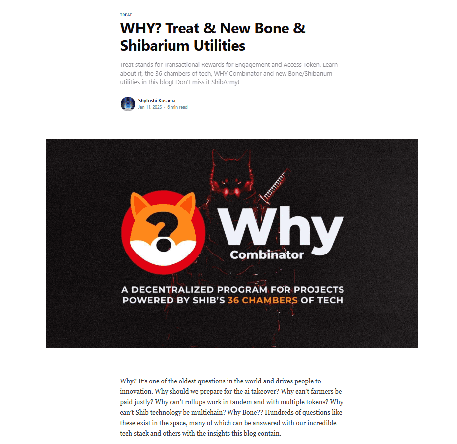 Shiba Inu WHY Combinator Program. Source: Shytoshi Kusama