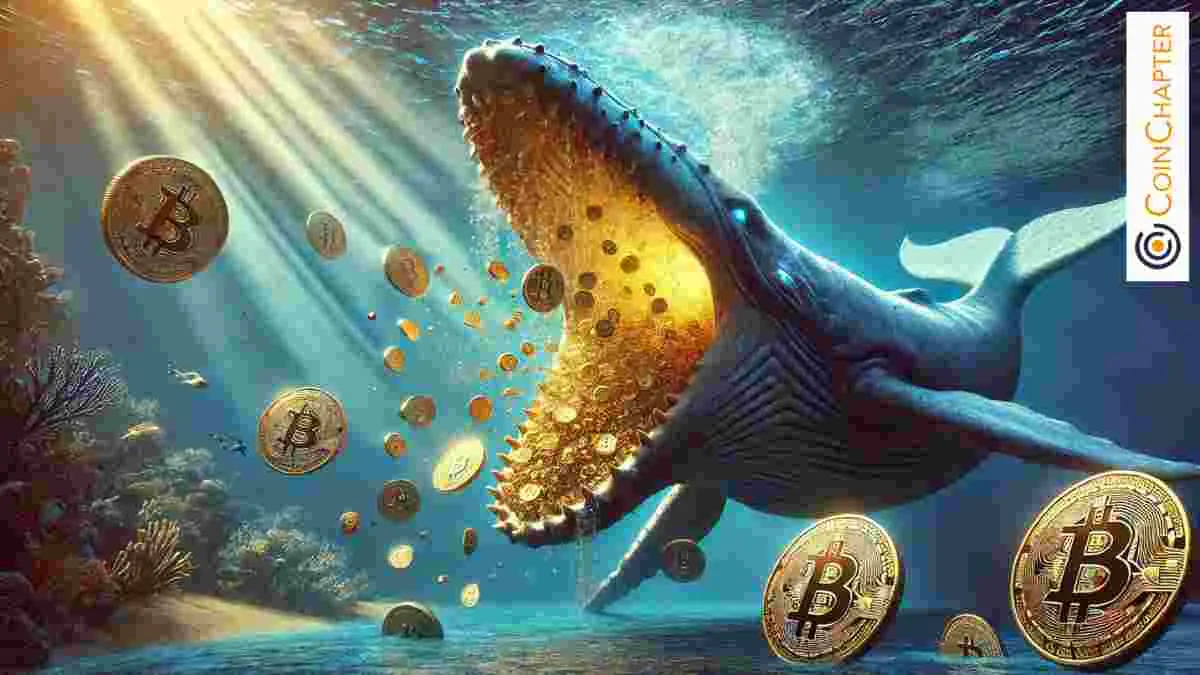 Bitcoin Whale Scoops Up $200M in BTC, Dormant Wallet Moves $250M After 8 Years