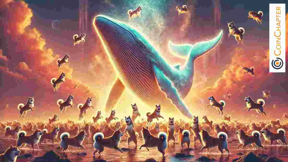 Dogecoin (DOGE) Whales Accumulate as Smart Money Bets on a Bull Run