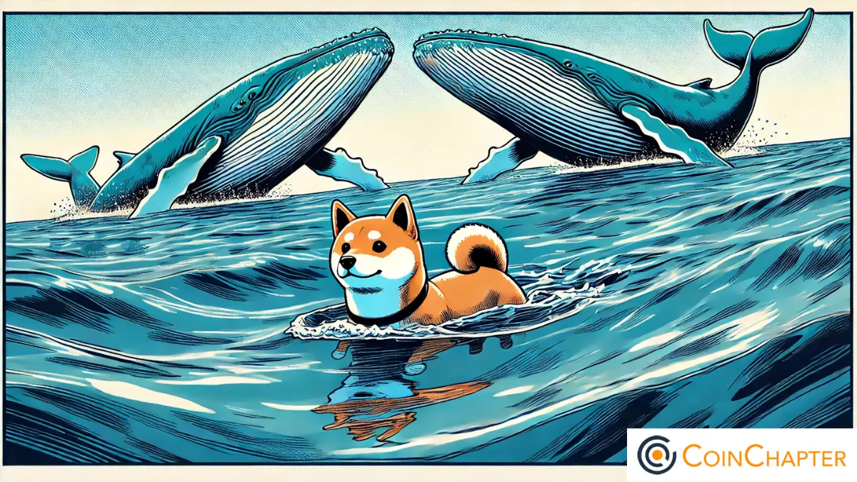 Shiba Inu whales concept