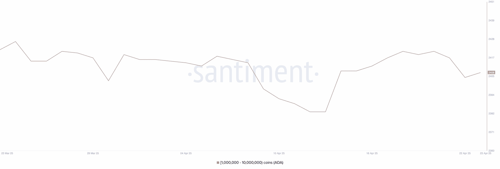 Cardano Whale Wallet Count Rises. Source: Santiment