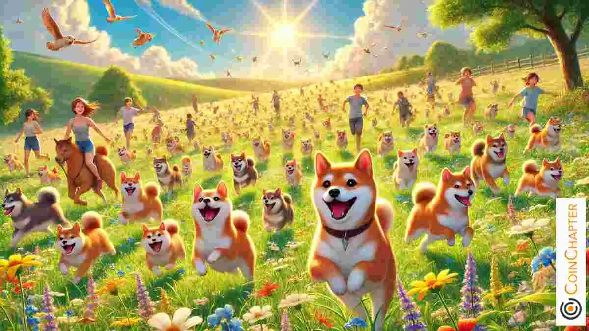 Dogecoin holder mark “Dogeday” as a Sec -TF decisions near the important thing deadlines
