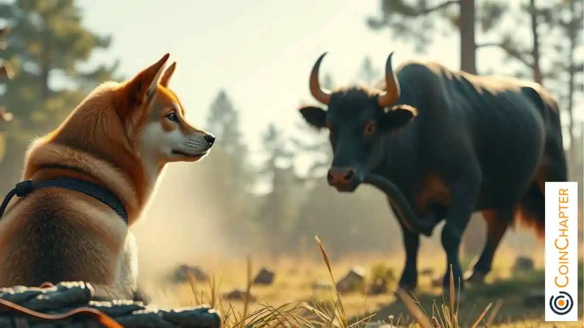 Dogecoin Targets 7 Short-Term Gain and Eyes 300 Move Toward All-Time High