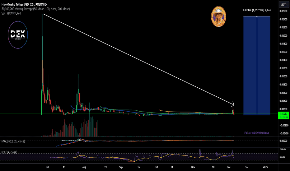 Hawk Tuah Crypto Price Collapse and Potential Rebound. Source: DEXWireNews