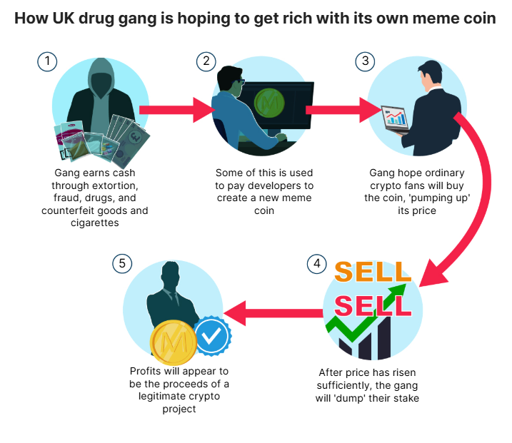 UK Gang Meme Coin Laundering Scheme. Source: MailOnline