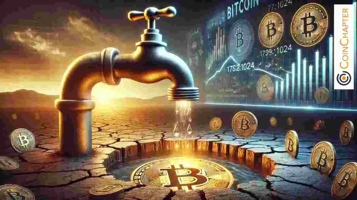 Big Institutions Accumulate More Bitcoin (BTC) Than They Sell – Bull Run Ahead