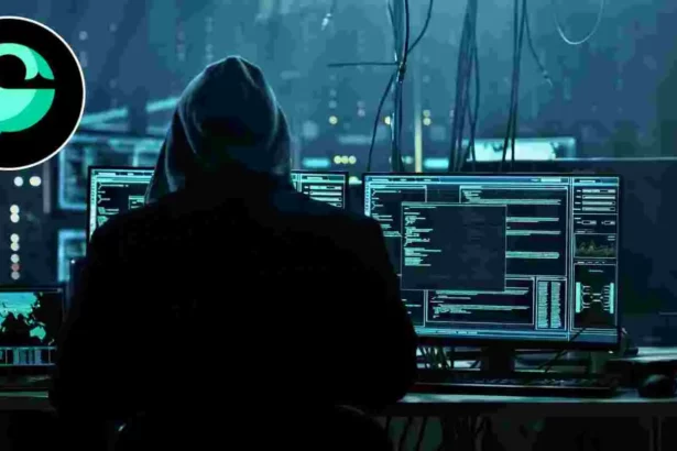 Cetus Protocol Suffers $223M Exploit, Token Price Drops 40%