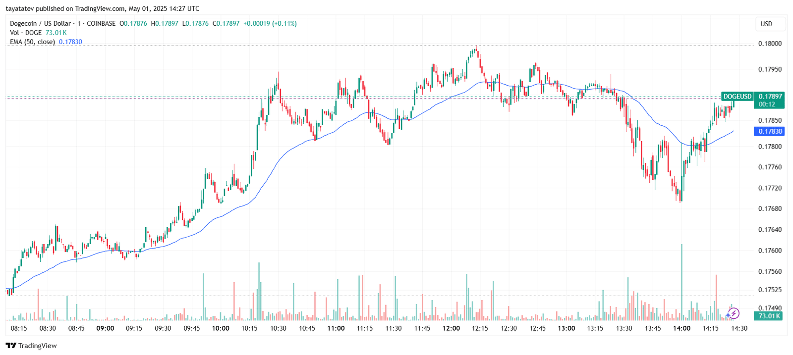 Dogecoin Price DOGEUSD Chart. Source: TradingView