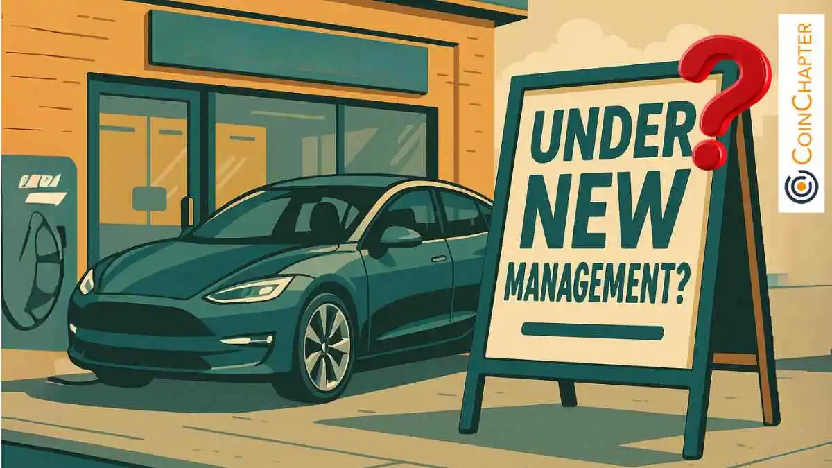 Dogecoin Price Stable as Elon Musk Rejects Tesla CEO Replacement Report