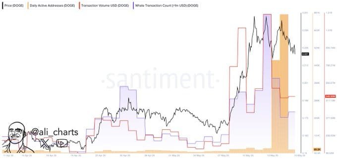 Dogecoin Whale Activity and Network SpikeSource: Santiment via @ali_charts