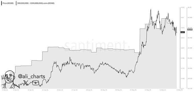 Dogecoin Whale Accumulation Surges in May 2025Source: Santiment via @ali_charts