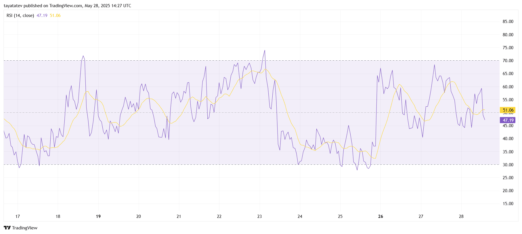 NEAR/USDT RSI Momentum Chart. Source: TradingView.com