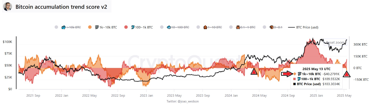 Bitcoin whales bearish BTC price drop