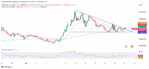 shiba Inu 4-hour price chart