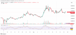 SHIB/USD 4-hour Price Chart. Source: TradingView