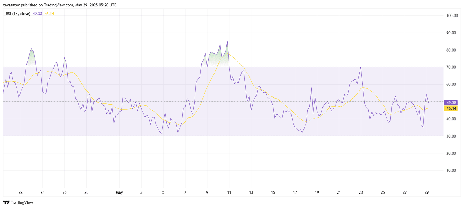  SHIBA INU RSI Indicator AnalysisSource: TradingView.com