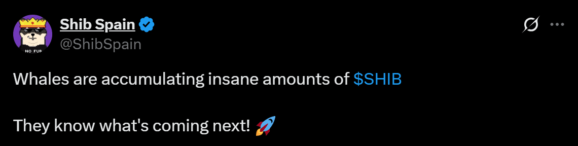 Shiba Inu SHIB bearish whales price analysis