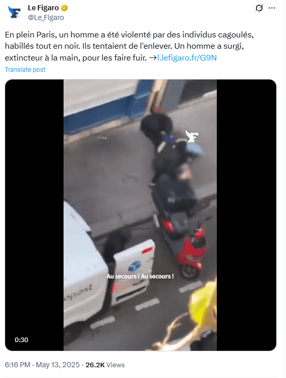 Attempted Kidnapping in Paris Caught on Video. Source: Le Figaro