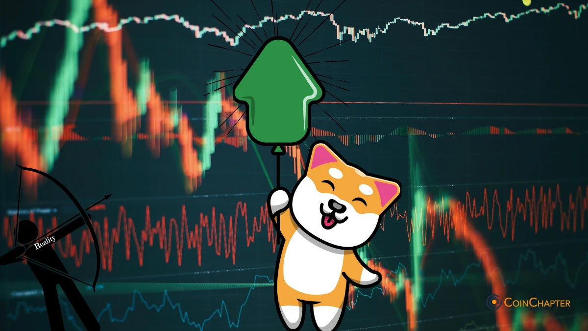 Shiba Inu Shibarium SHIB price analysis