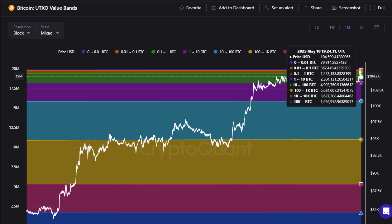 Bitcoin whales BTC USD price analysis