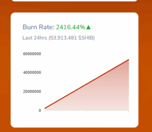 SHIB Burn Rate Spikes 2,416% in 24 Hours