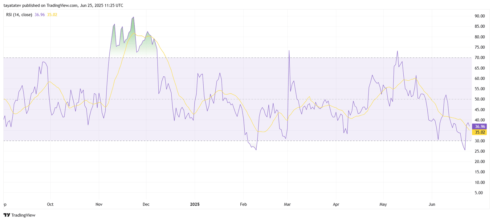 Cardano RSI Analysis. Source: TradingView