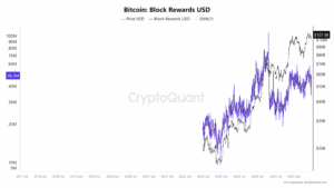 Bitcoin Block Rewards USD