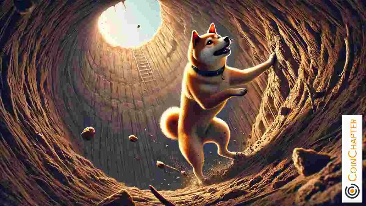 Dogecoin Set to Drop Charts Turn Bearish as MEME Coins Buys 1 Billion DOG Tokens