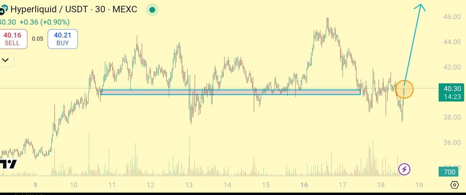 Hyperliquid (HYPE) / USDT – 30-Minute ChartSource: MEXC via TradingView