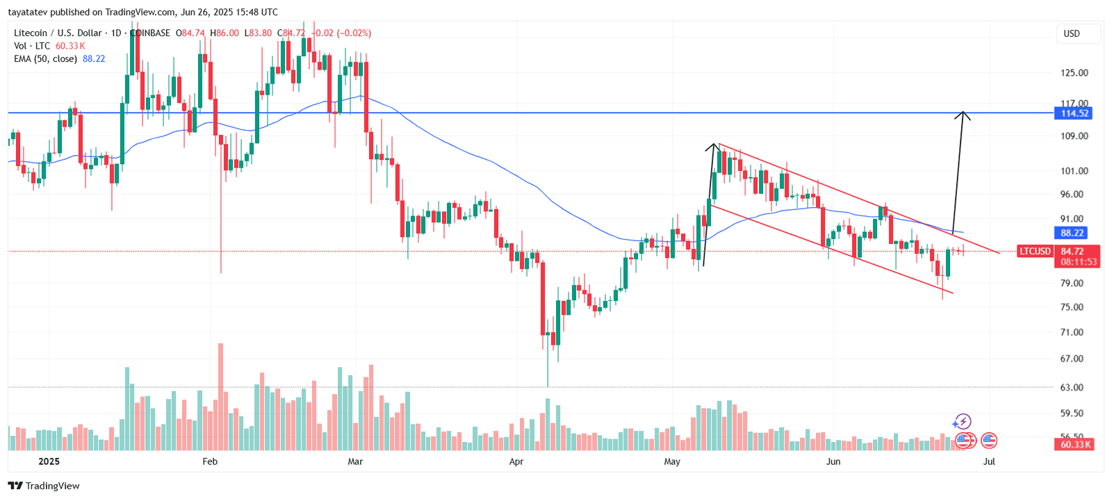 Litecoin Bullish Flag PatternSource: TradingView 