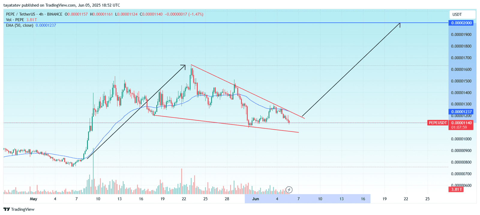 PEPE/USDT Bullish Falling WedgeSource: TradingView.com