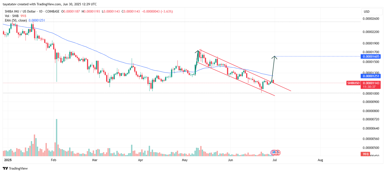 SHIB/USD Bullish Flag Breakout. Source: TradingView