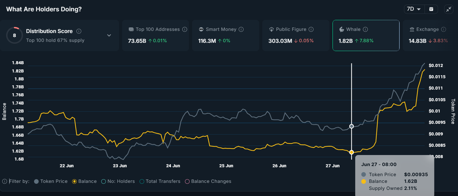 PENGU Whale Holdings. Source: Nansen