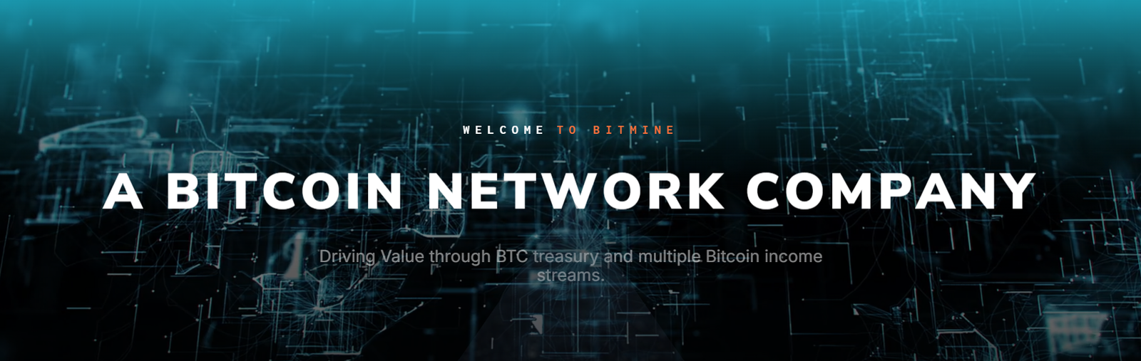BitMine Website BannerSource: BitMine Official Website