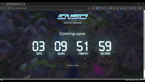 ENSO wallet connection page