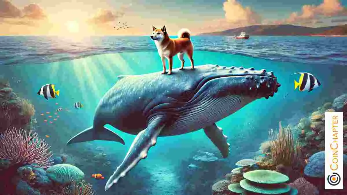 Shiba Inu (SHIB) Whale Holdings Decline to 5-Month Low — Is a Price Pullback on the Horizon?