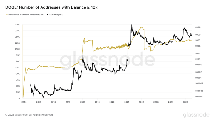DOGE Whale Wallets vs Price Action. Source: Glassnode
