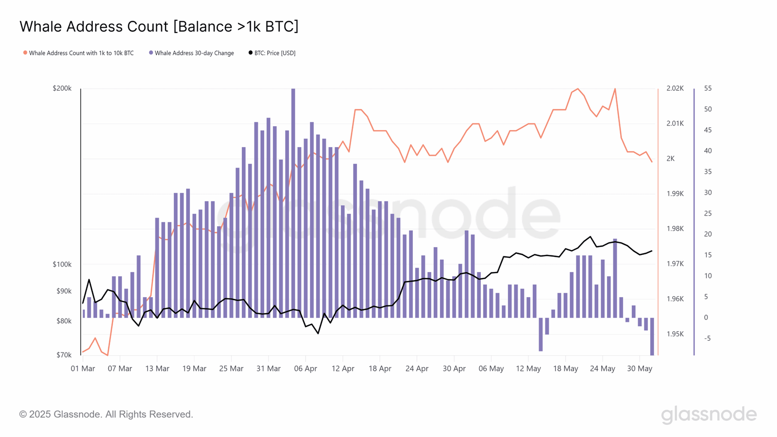 Bitcoin price analysis BTC whales
