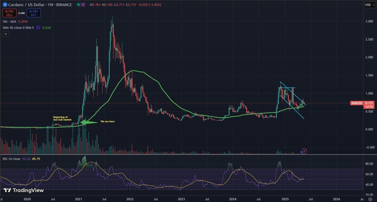  ADA/USD Weekly Chart With RSI and Bull Market ComparisonSource: TradingView via @sssebi_