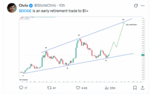 analyst predicting DOGE to reach$1
