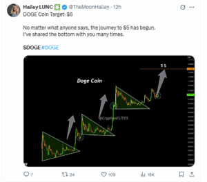 analyst eyes $5 for DOGE
