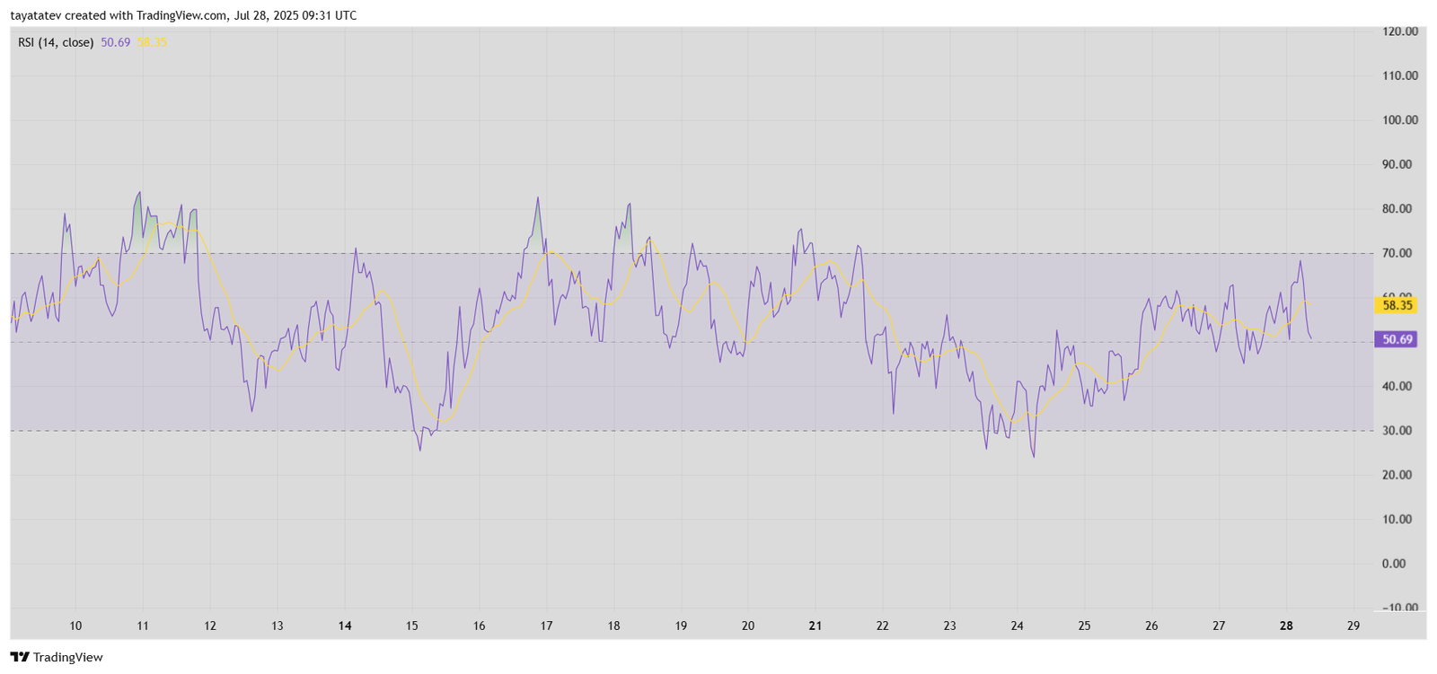 Dogecoin RSI Indicator Analysis. Source: TradingView