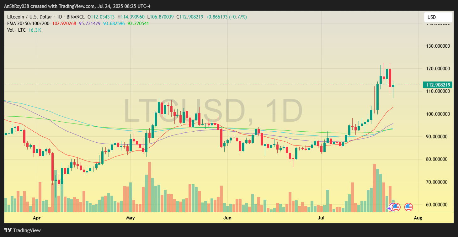 LTC Litecoin LTC USD price analysis